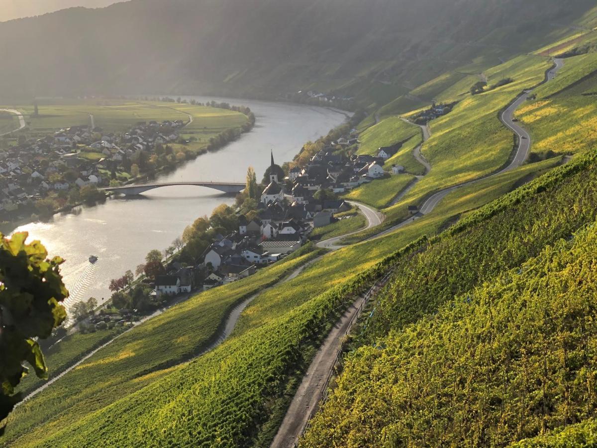 Weingut Lehnert-spaeter * Piesport